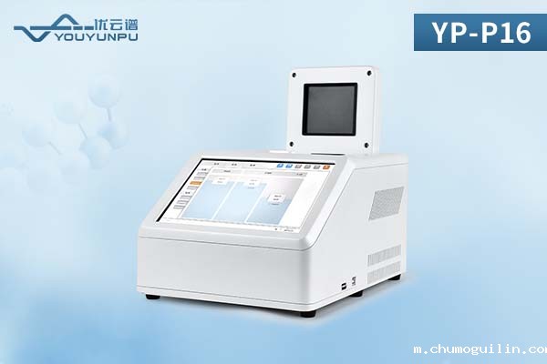 YP-P16.jpg YP-P16.jpg