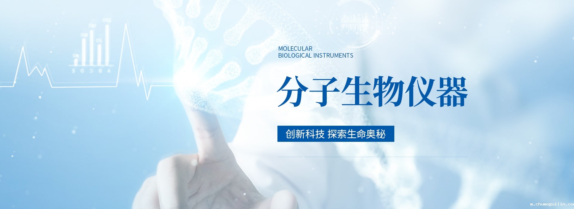 免费的足球直播网站