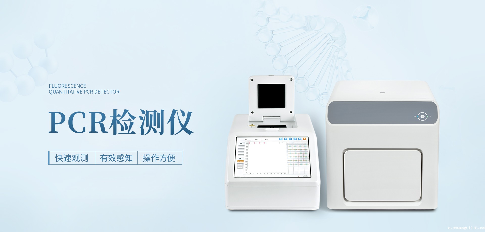 免费的足球直播网站