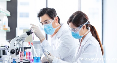 免费的足球直播网站