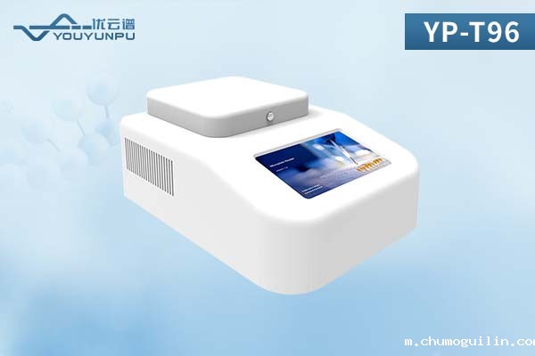 梯度PCR仪：高效且精确的基因分析工具